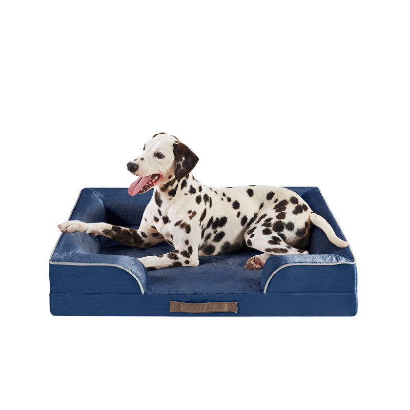 Lit orthopédique pour animaux Canvey, (Grand) l 35 po x P 25 po x H 6,5 po, Bleu marine