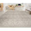 Sultanabad Wool Ikat Area Rug in Gray