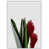 No Frame is unavailable