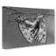 Two Butterflies - Wrapped Canvas-55361542