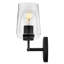 Viva 2 Light Transparent Dimmable Vanity Light-864717448