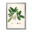 Vintage Botanicals II - peinture sur toile-59814325-59814319