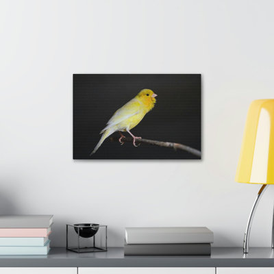 No Frame Print on Canvas