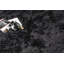 Tapis Shilo-1141233995