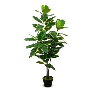 Croyez BotanicalFit votre ficus artificiel en pot de 35 pouces avec 2 feuilles à deux tons dans votre décoration intérieure et créez le fini le plus vert