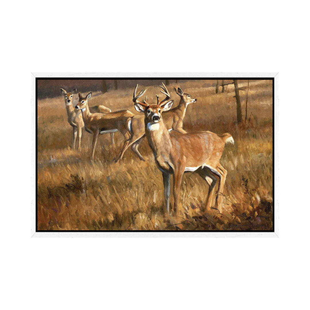 Whitetail Deer von Grant Hacking - Giclée auf Leinwand in der Galerie