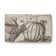 Kisor Chenille Indoor Rug