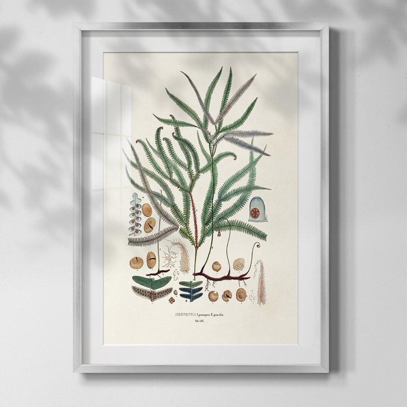 Bright Boy II, reproduction encadrée, Oui, Blanc, Papier avec cadre argenté