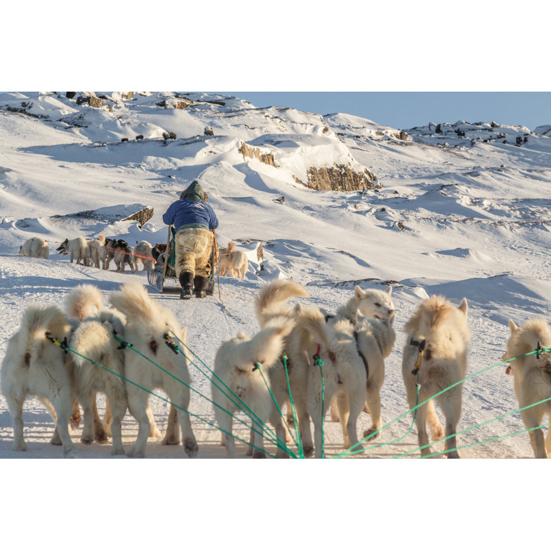 «Dog Sledding» par Rubyrascal - Photographie sur toile tendue, L 36 po x H 24 po