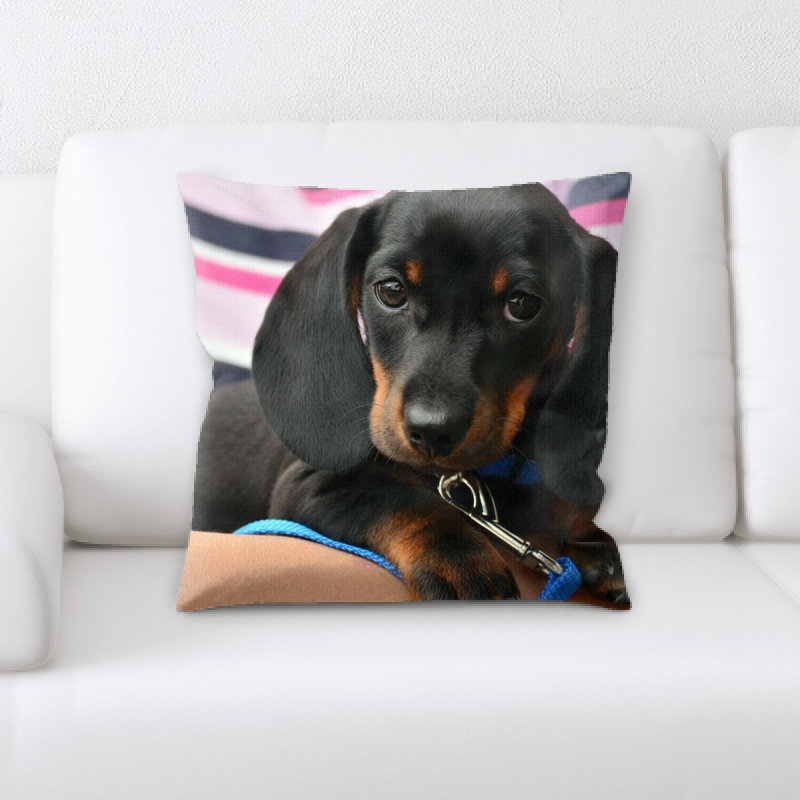 Housse et insert de coussin carré teckel