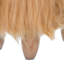 Shelva Solid Wood Accent Stool
