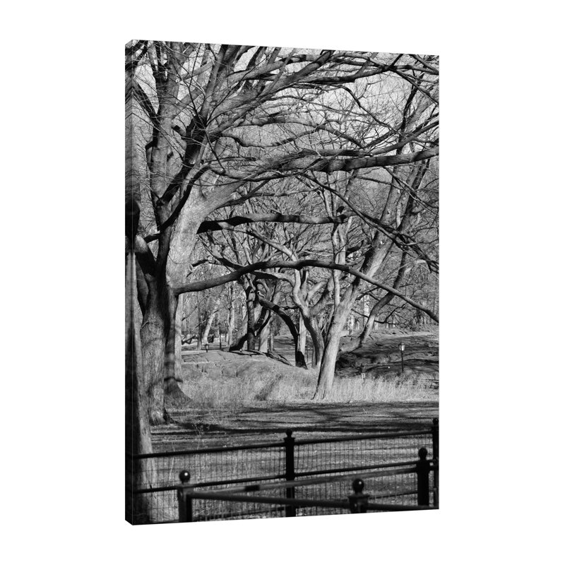 «Central Park I» par Jeff Pica - Photographie sur toile tendue, H 48 po x l 32 po x P 1,5 po