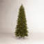 Slender Green Realistic Artificial Fir Christmas Tree with Incandescent Steady/Constant Lights-415901227