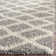 Cedrika Geometric Hand Woven Area Rug