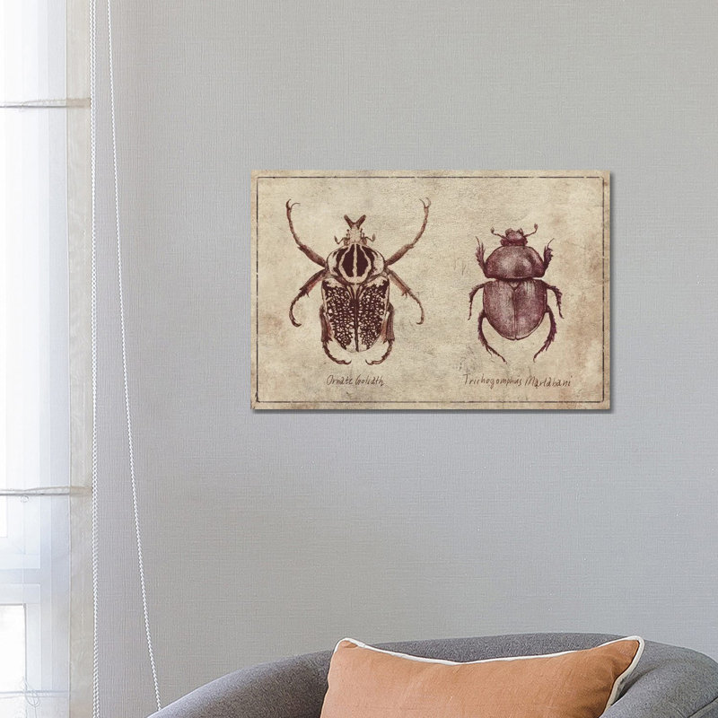 Ornate Goliath- Trichogomphus Martabani 2 by Mike Koubou - Wrapped Canvas Print, 66.04 cm H x 45.72 cm W x 3.175 cm D