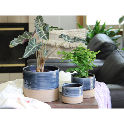 Pots de fleurs miniatures en céramique émaillée Jewel Mug (paquet de 8) - Intérieur/Extérieur
