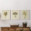 Écru corail X - ensemble de 3 peintures sur toile encadrées-143796230-143796225