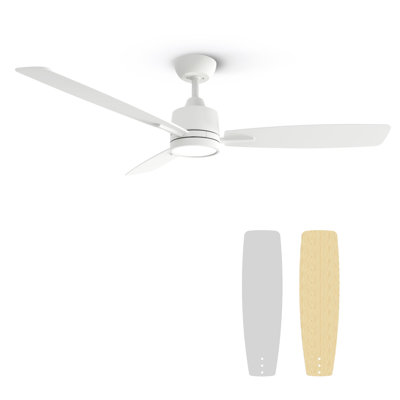 Emidia 52 inch Standard Ceiling Fan with LED Lights Indoor
