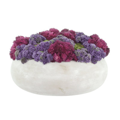 Sedum Arranged in a Stone Planter