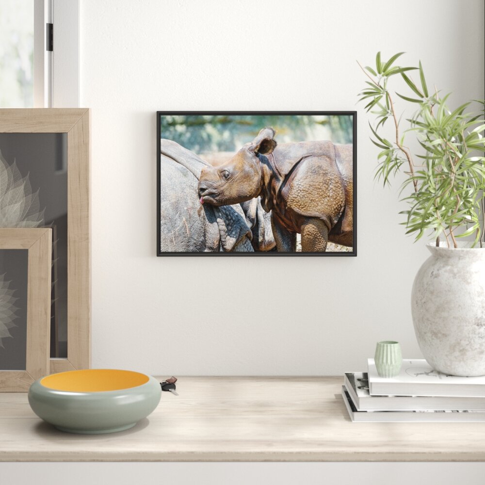 Gerahmtes Wandbild junges Nashorn