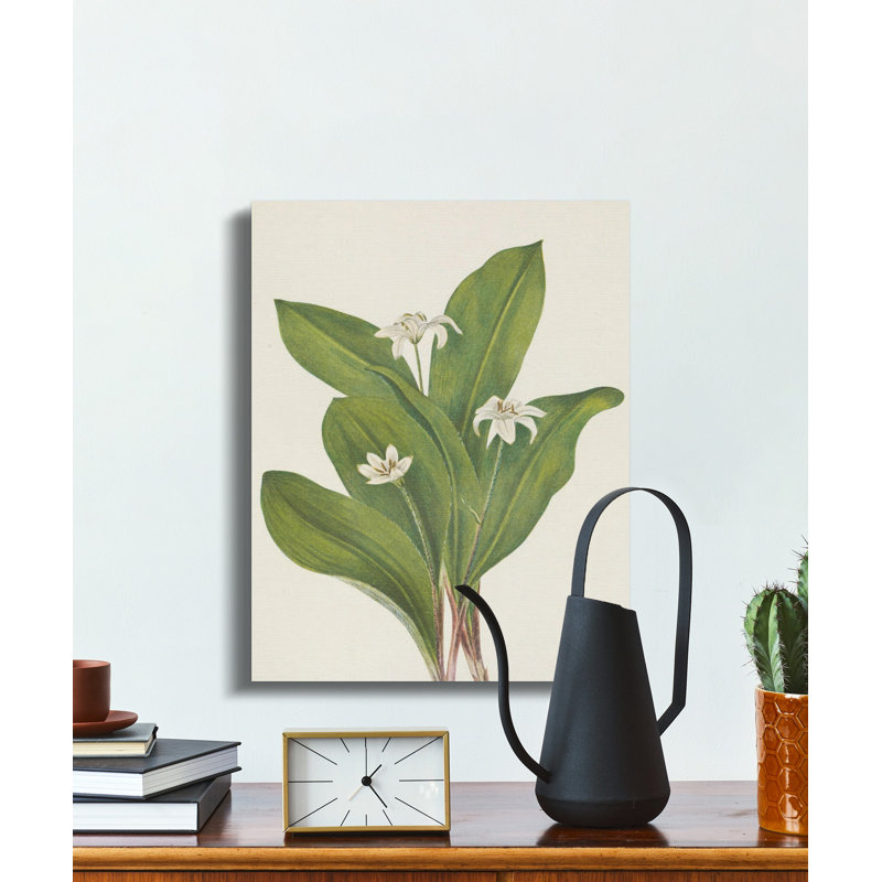 Hershberger Wrapped Canvas Print Set, 18x24