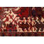 Tapis rouge Sarabi 9 pi 6 po x 13 pi 3 po