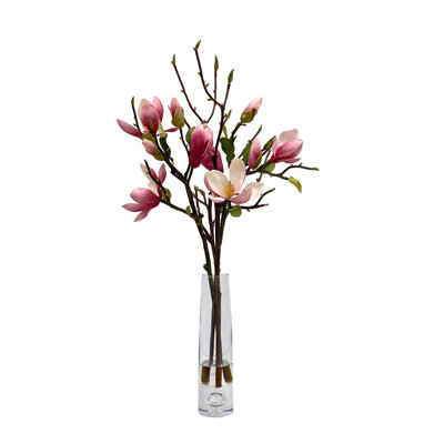 Arbre de magnolia dans un vase