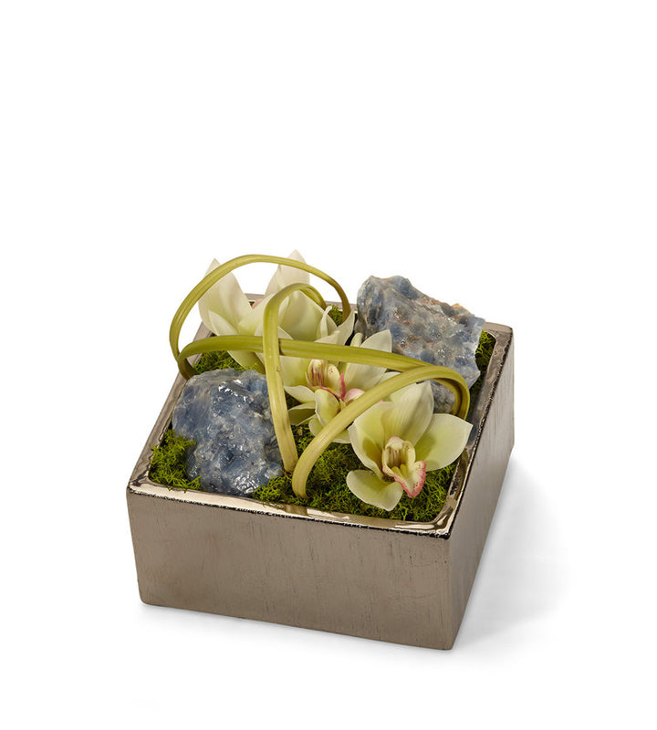 Orchids Floral Arrangement in Planter