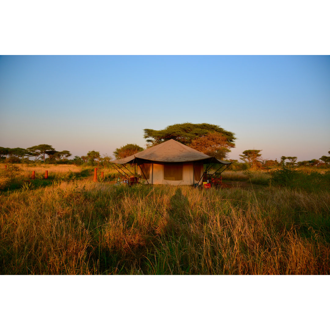 Tented Safari Camp - Leinwandbild