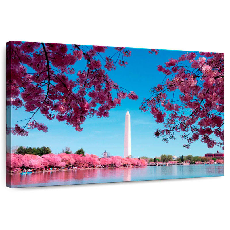 Lilie Washington Spring Sakura, H 34 po x l 51 po