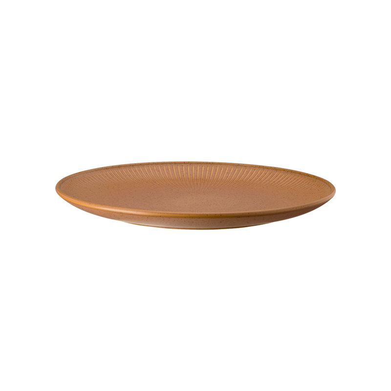 Thomas Clay Stoneware Dinner Plate, Earth