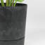 Suvanna Pot Planter-119308122-119308119