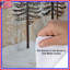 Snowy Pine Forest Scene Duvet Covers-125233492