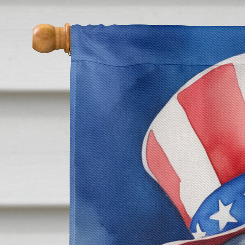 Drapeau patriotique de la maison américaine, Setter anglais