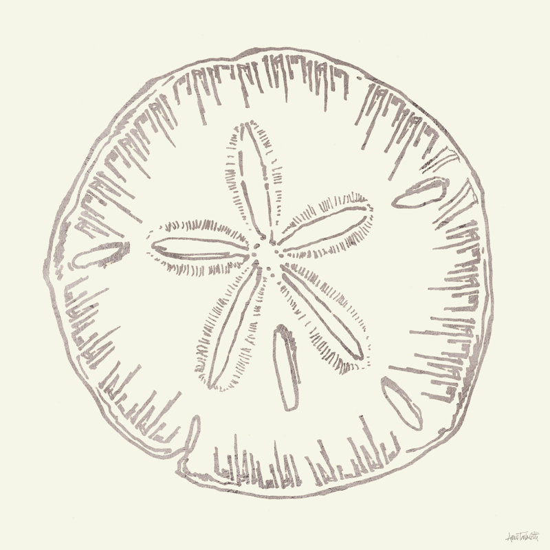 Croquis de coquillages côtiers iv argent, H 30 po x l 30 po