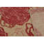 Distressed Homage Hand Knotted Wool Animal Print Area Rug-520654191