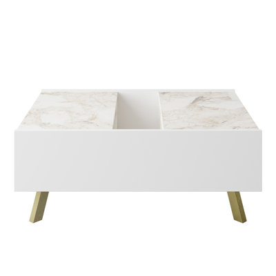 Palmyra Coffee Table with Storage