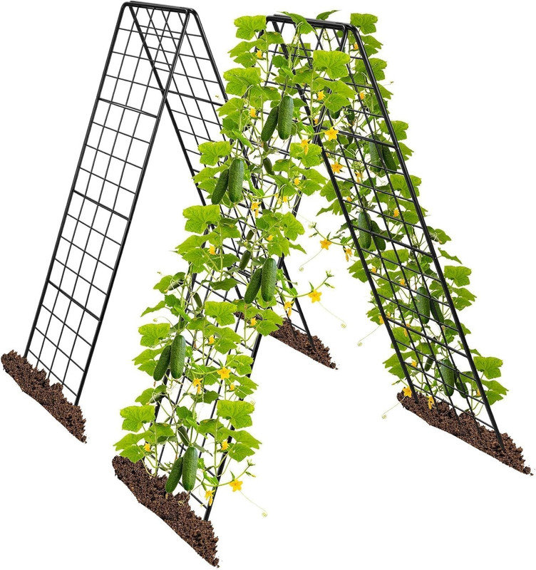 150cm H x 40cm W Metal Folding