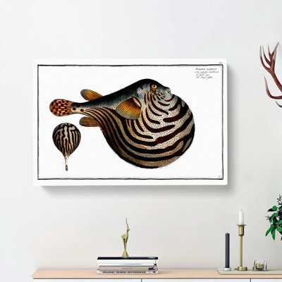Striped Pufferfish by M.E. Bloch - Wrapped Canvas