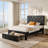2 Pack Black Upholstered Headboard Adjustable Height Twin Size Platform Single Bed With Drawer-151016155