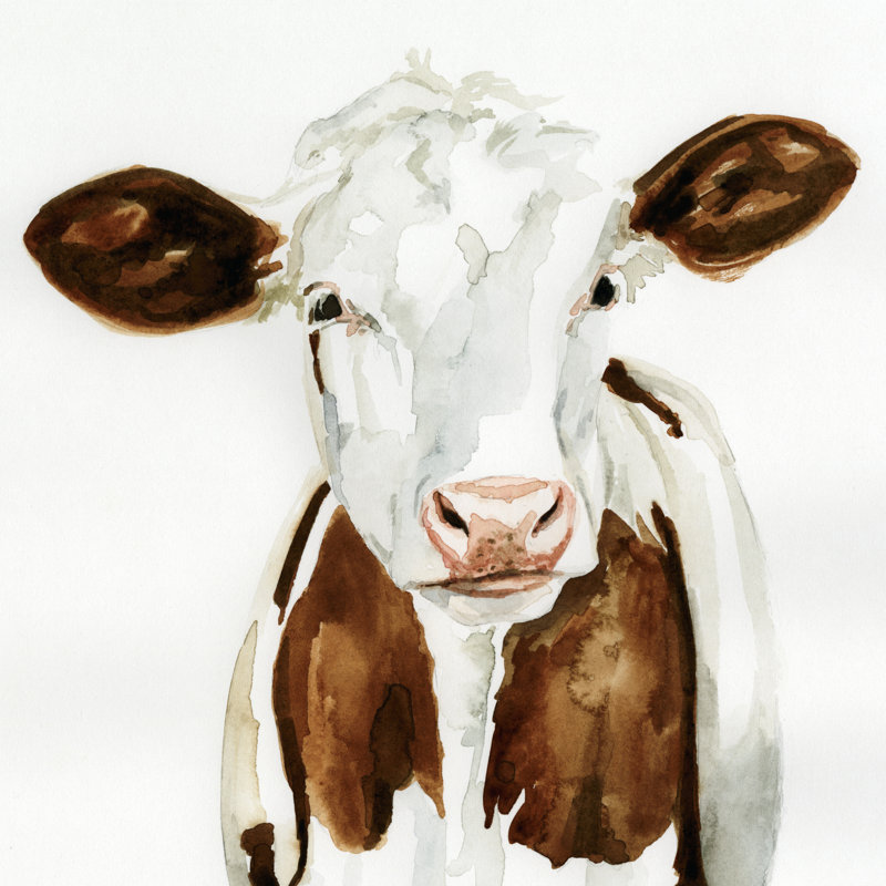 Cow Gaze I by Victoria Barnes - Wrapped Canvas Painting, 91cm H x 91cm W x 3.8cm D