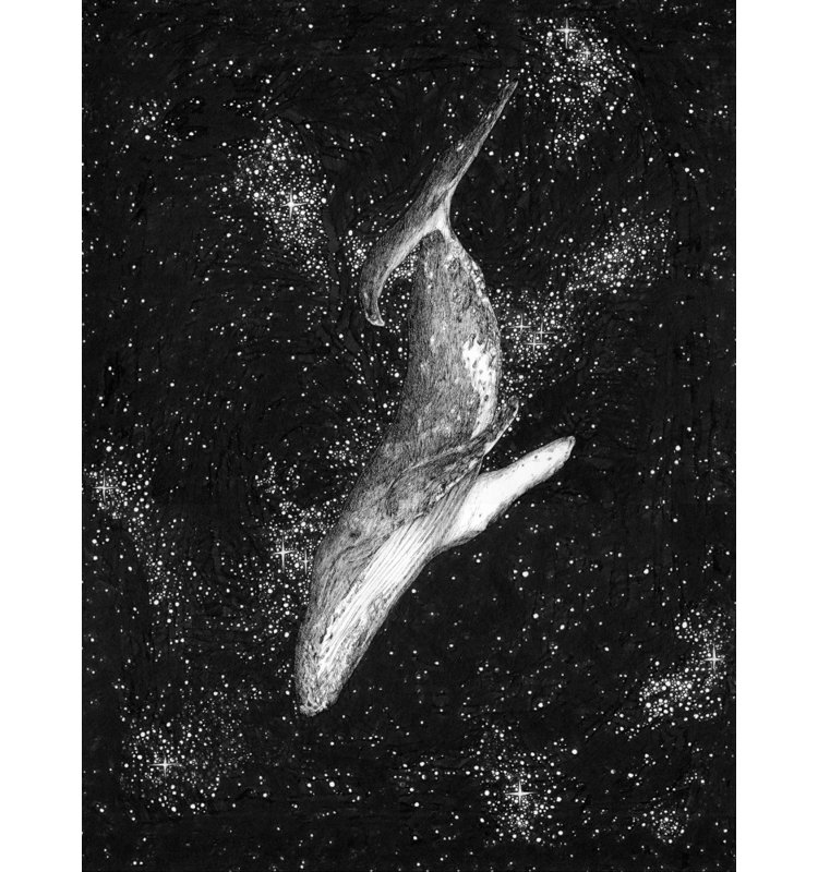 Wrapped Canvas Print, 76.2 cm H x 50.8 cm W