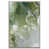 Timber Floater Frame
