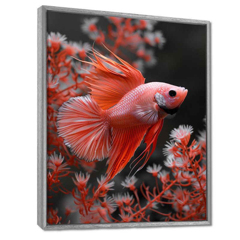 Monochromes rouges et gris - aquariums, reproduction d'art mural, White Picture Framed, H 12 po x l 20 po
