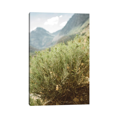 Yosemite National Park IV by Bethany Young - Print on Canvas
