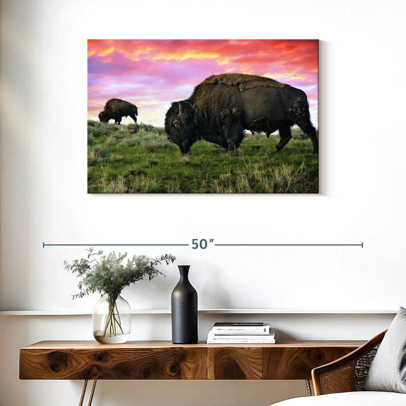 Bison et bison Brampt, H 24 po x l 36 po