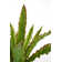 52'' Faux Palm Tree in Fiberstone Planter