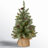 Flocked Fir Tree with LED Lights-1334224385