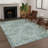 Machine Washable Indoor/Outdoor Chantille ACN2692 Casual Rug-907960678-907960698