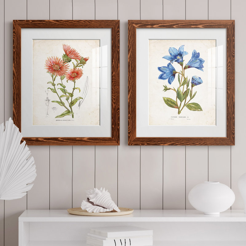 «Botanical I», ensemble de 2 reproductions d'art, H 24 po x l 36 po x P 1,5 po, Papier avec cadre érable, Blanc